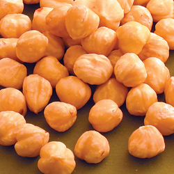 Filberts Hazelnuts Blanched Raw