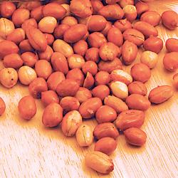 Peanuts Spanish Raw